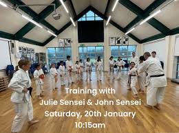 Image result for Soncho Karate Club