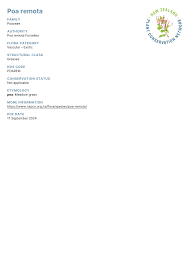 Attēlu rezultāti vaicājumam “Poa remota”