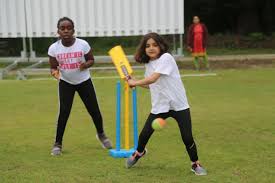 Image result for Three Bridges Cricket Club