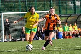 Image result for Crystal Palace Netball Club