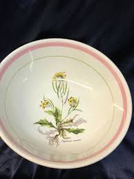 Attēlu rezultāti vaicājumam “Diplotaxis muralis fruit”