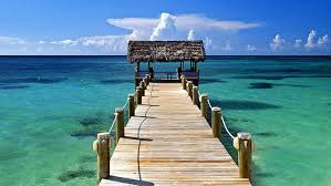 Image result for goa beaches