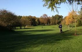 Image result for Alfreton Golf Club