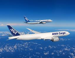 Image result for ana