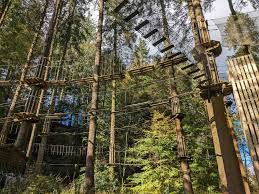 Image result for Go Ape! Grizedale