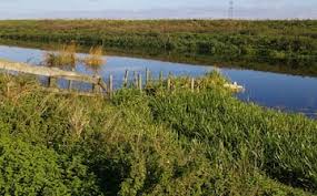 Image result for Wisbech & District Squash Club