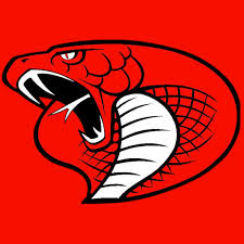 Image result for Cardiff Cobras