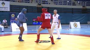 Image result for Combat Sambo