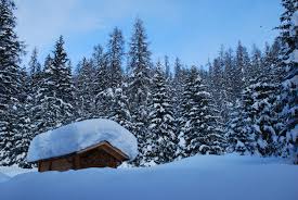 Image result for schnee