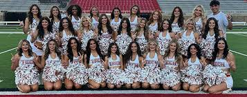 Image result for RT Twilights Cheerleading