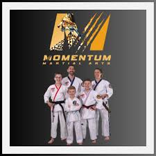 Image result for ATA Martial Arts Mobile
