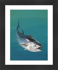 Image result for Thunnus atlanticus