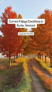 Image result for $$fall_akte__ort$$