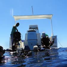 Image result for Manta Divers Sub-Aqua Club