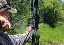 Image result for Long Eaton Field Archery Club