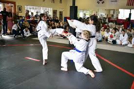 Image result for Everitt Karate Academy