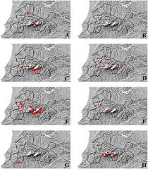 Attēlu rezultāti vaicājumam “Rhabdoweisia fugax sporophyte”