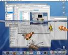 Download Free 3D Desktop Aquarium Screen Saver, 3D Desktop ...