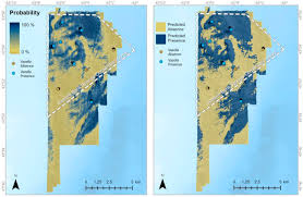 Image result for Vazella pourtalesii