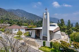 Image result for St Rita`s Camogie Club