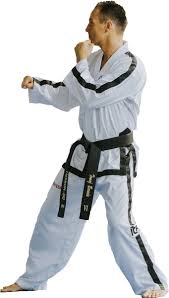 Image result for Dujon Tae Kwon Do