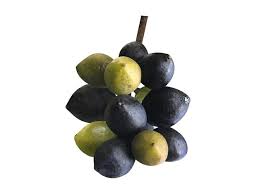 Attēlu rezultāti vaicājumam “Phellodendron amurense fruit”