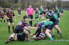 Image result for Green Isle Camogie Club - Players Wanted!