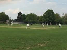 Image result for Stanmore Cricket Club