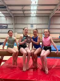 Image result for Huntingdon Olympic Gym Club