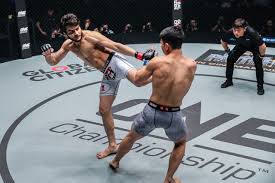 Image result for Wolverine MMA
