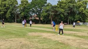 Image result for Bowdon Cricket Club