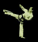 Image result for Hed Tkd (Dorking Tae Kwon-Do)