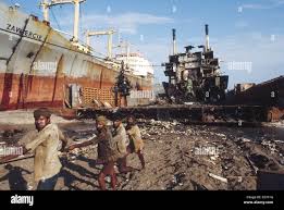 Image result for alang