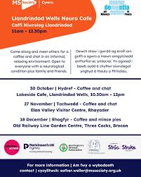 Image result for Rhayader Bowling Club