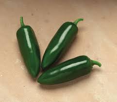 Afbeeldingsresultaat voor jalapeno early hot pepper