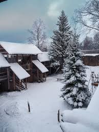 「イルミンガルド・スノーレヴィク」の画像検索結果