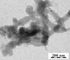 Image result for Sfânta Iuliana Falconieri