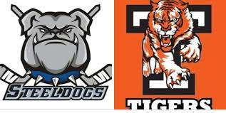 Image result for Telford Tigers