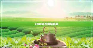 Image result for 2009早春