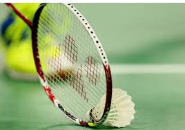 Image result for Dolphin Badminton Club