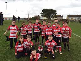 Image result for Milford Haven R F C