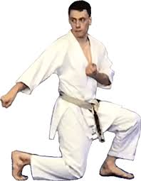 Image result for enpi dojo