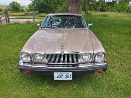 Image result for Silver Birch 1987 Jaguar