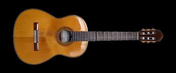 Image result for guitar