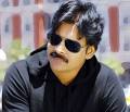 ... Calvin Masson on 5th may 2011 and both the couple are staying together. - A-Very-big-Festival-for-Pawan-kalyan-fans-1920