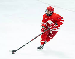 Image result for York University Street Hockey Club