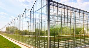 Image result for maralaser tehron