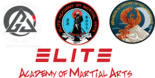 Image result for Elite Force Martial Arts