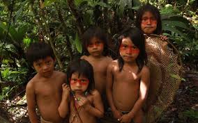 Image result for tribe