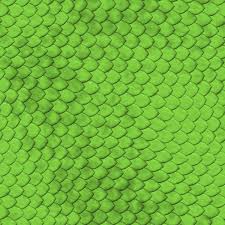 Image result for reptile scales